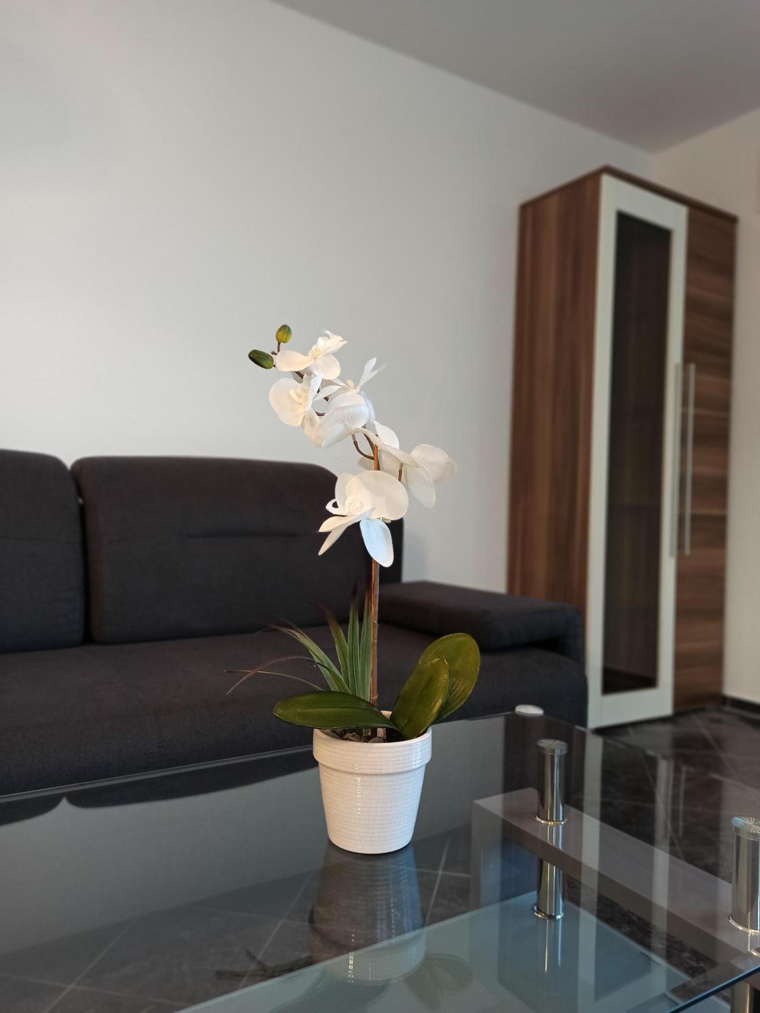 Ferienwohnungen AVIVA Bodman - Urlaub in unmittelbarer Seenähe Zimmer foto